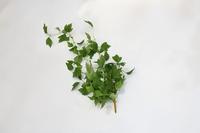 Plantas Artificiales de Alta Simulación, Guirnalda de Enredadera, Follaje de Morera Colgante para Pérgola, Valla, Patio, Decoración Rústica