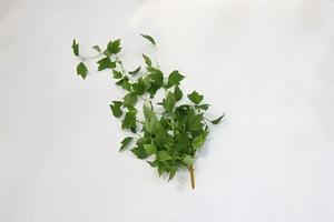 Plantas Artificiales de Alta Simulación, Guirnalda de Enredadera, Follaje de Morera Colgante <span class=keywords><strong>para</strong></span> Pérgola, Valla, Patio, Decoración Rústica - Product Image 3