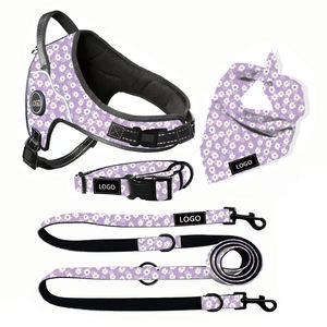 Conjunto de arnés de perro único personalizado, correa de cuello de cachorro, accesorios personalizados para mascotas, diseño de sarga ajustable y transpirable - Product Image 4