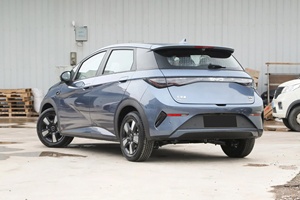 Compra en Stock: Coches Eléctricos BYD Dolphin, Coche Pequeño de 5 Puertas y 5 Plazas, Sedán con 420 KM de Autonomía, Vehículos de Nueva Energía Fabricados en China - Product Image 6