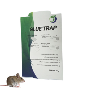 Trampa de pegamento verde ecológica y personalizada <span class=keywords><strong>para</strong></span> ratones/<span class=keywords><strong>ratas</strong></span>, con pegamento sólido de cacahuete <span class=keywords><strong>para</strong></span> el control de plagas. - Product Image 2