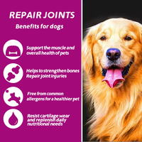 Friandises à mâcher Pet Yuan pour chiens : Suppléments de glucosamine pour les hanches et les articulations, pour la santé des chiens, soulagement naturel des douleurs articulaires