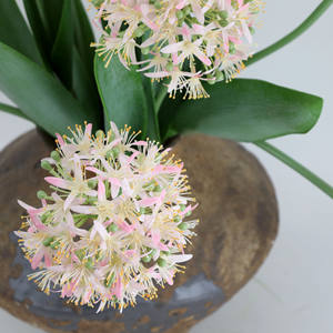 ดอกไม้ประดิษฐ์สไตล์ใหม่ C436ตกเเต่งเเเต่งงานเเเเต่งงานดอกไม้บานหน้าต่างเเเเต่งงานเเต่งงานเเเต่งงานเเเเเเเเเเเต่งงานโชว์ดอกไม้นานาเบเบบเเเต่งงานเต่งงานเเเเเเเต่งงานโชว์ดอกไม้คลุมเต่งงานผ้าไหม - Product Image 6