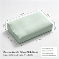 Oreiller en mousse de silicone 60D personnalisé OEM/ODM, lavable et respirant, pour adultes, maison et hôtel