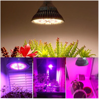 SANYIBA 80W Ampoule LED à spectre complet pour plantes 120LED E26/E27 IP65 pour application Bloom