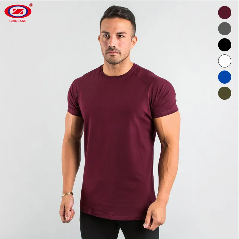 Customized Summer Sports Workout Clothes Blank Fitted T Shirts Muscle Men's Quick Dry Fitness T-shirt