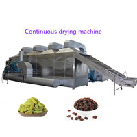 Ligne de production automatique de lavage et de déshydratation des raisins verts, prix d'usine, machines de transformation des raisins, moteur principal PLC