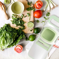 Fruits et Légumes Cuisine Planche À Découper Lame Réglable Mandoline Multi-Fonction Alimentaire Légumes Trancheuse Avec Protège-main