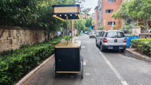 Etodevice Carro de Jugos Personalizado en Venta, Triciclo Eléctrico para Alimentos, Carritos de Helado y Gelato, Camión de Comida de Acero Inoxidable Ape Piaggio USA - Product Image 2