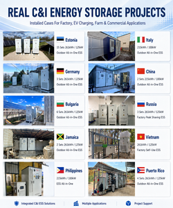 Système de stockage d'énergie haute tension 261 kWh 125 kW 1 MWh avec armoire PCS EMS pour projet de micro-réseau solaire industriel - Product Image 2