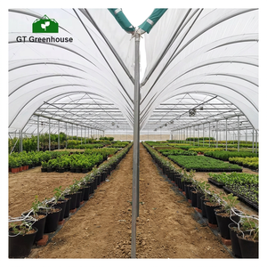 Grande serre agricole multi-chapelle en film PE durable pour la culture des cultures, la culture des plantes en ferme et la protection des pépinières - Product Image 2