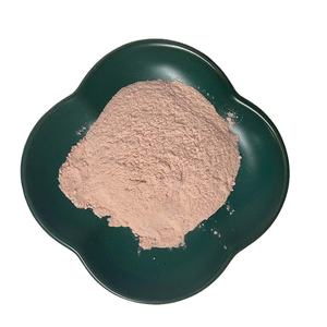 100% frutta naturale 17% 25% vitamine per uso alimentare estratto di ciliegia Acerola in polvere - Product Image 1