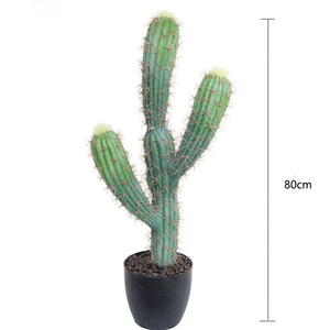 I186 <span class=keywords><strong>Cactus</strong></span> <span class=keywords><strong>Sans</strong></span> Pot Noir Nordique Plante Verte Artificielle Intérieur Salon Fenêtre Décoration - Product Image 3