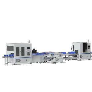 Lithium Battery Making Machine Production Line For Assembly Prismatic Pack Module Li Ion Automatic Equipment Lifepo4 Cells