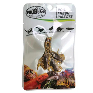 Insectes frais non vivants en gros pour l'alimentation des reptiles, scorpions écologiques riches en protéines pour la nourriture des reptiles et des tortues - Product Image 3