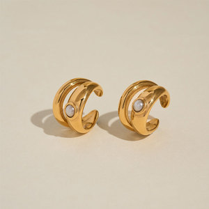 Modernos Aretes de Diseño Sin Deslustre, Chapados en Oro PVD de 14k y 18k, Acero Inoxidable 316l, Joyería Fina de la Marca CC, Sin Perforación, para Mujer - Product Image 1