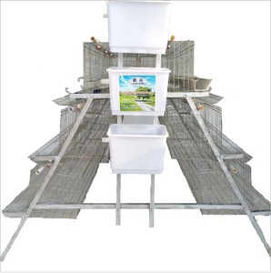 Nuevo diseño Poultry Chicken Farm batería jaulas <span class=keywords><strong>de</strong></span> pollo para asar con regulador <span class=keywords><strong>de</strong></span> presión <span class=keywords><strong>de</strong></span> <span class=keywords><strong>agua</strong></span> para la granja <span class=keywords><strong>de</strong></span> Pakistán - Product Image 1
