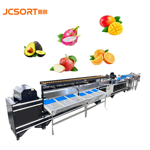Jc Sắp Xếp Tự Động Xoài Rửa Trọng Lượng Phân Loại Máy Trái Cây Tươi Phân Loại & Thiết Bị Chế Biến Cho Xoài Kích Thước Phân Loại - Product Image 1