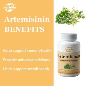 Cápsulas de Artemisinina OEM ODM - Suplemento Herbal Tradicional, Promueve la Salud General, Apoya la Salud Inmunológica, Antioxidante, Vegano - Product Image 2