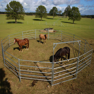 Corral Redondo de 13 Paneles + 1 Portón para Caballos de 9 m de Diámetro y 6 Pies de Alto, Paneles de Valla para Uso Ovino - Product Image 2