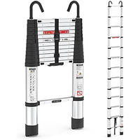 Échelle télescopique pliante en aluminium à 2 crochets personnalisée pour le travail à domicile, le grenier, le toit, le camping-car, l'association des propriétaires