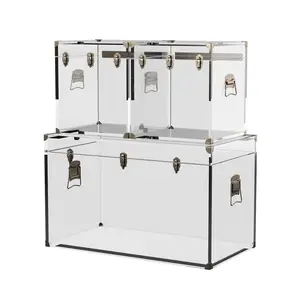custom size transparent Plexi storage trunk metal hardware clear acrylic lucite trunk with handles
