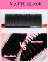 Extensions de cils Meecil faites à la main, noir mat intense, volume CC, fournitures en gros avec étiquette privée, plateau à cils en cachemire