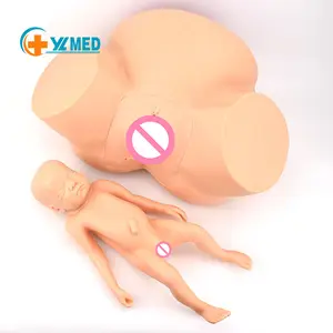 Advanced Gynecological Childbirth Training Teaching Obstetric Delivery And Midwifery Training Simulator For Medical Teaching