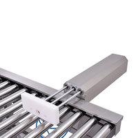 Báscula de Banda Transportadora para Control de Peso de Cartones de Gran Capacidad, en Acero Inoxidable 304