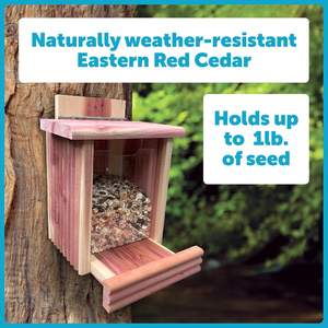 Milieuvriendelijke Ceder Eekhoorn Snacker <span class=keywords><strong>Feeder</strong></span> 2.75 Lb Capaciteit Massief Patroon Houten Kom Kleine Dieren Huisdieren Kommen Feeders Waterdicht - Product Image 5