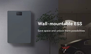 Wall <b>Mounted</b> Powerwall Alternative 51.2V 300Ah 15.36kWh Solar Energy Storage <b>Battery</b> for Home Off Grid Powerwall 15kwh Alternati - Product Image 3