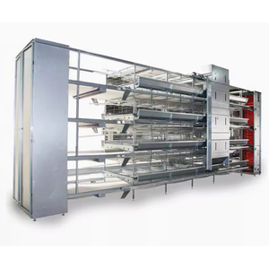 Sistema di Gabbie per Polli in Acciaio Zincato a Caldo Tipo H con Rimozione Automatica del Letame, Capacità 128 Uccelli, Durata 15-20 Anni, Nuovo per Allevamento Avicolo - Product Image 4