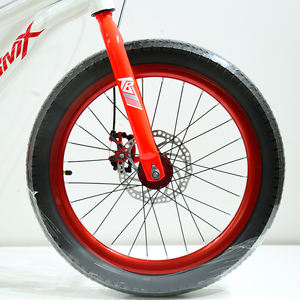 <span class=keywords><strong>Bicicleta</strong></span> de Montaña de 20 Pulgadas, Una Velocidad, para Deportes al Aire Libre, con Llanta de Acero y Aleación de Aluminio - Product Image 6