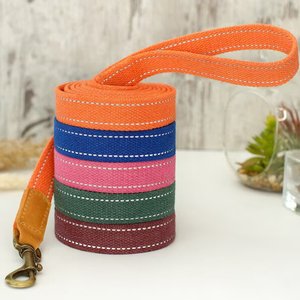 신제품 <span class=keywords><strong>2026</strong></span> 맞춤형 6.5피트 소프트 헤비듀티 반사견 훈련용 리드 내구성 있는 나일론 ID 가죽 태그 포함 야간 안전 코튼 웨빙 - Product Image 1