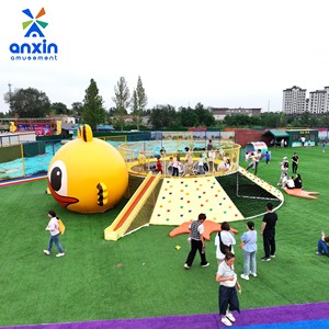 Attrezzature Ricreative Sicure e Durevoli Non Motorizzate per Parchi di Divertimento Familiari all'Aperto, Giostre Non Elettriche da Fabbrica Cinese - Product Image 6