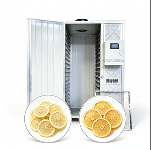 Gabinete de Secado Eléctrico de Ahorro de Energía con Control PLC, Equipo Comercial para Secar Alimentos, Frutas y Verduras - Product Image 1