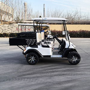 Voiturette de golf utilitaire 2 places Pure White avec roues en alliage et pare-brise pliable pour le transport de marchandises et la patrouille en ferme et ranch - Product Image 1