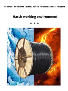 كابل طاقة ZR-YJV بمعيار وطني، نحاس نقي، متعدد النماذج من 1 إلى 5 أسلاك - Product Image 6