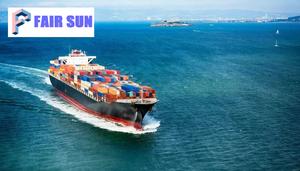 El mejor envío de carga FCL 20GP de <span class=keywords><strong>Qingdao</strong></span> a Visakhapatnam India Servicio de logística de agente de transporte profesional - Product Image 3