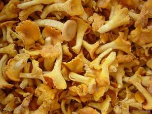 Meilleur <span class=keywords><strong>Prix</strong></span> IQF Champignons Chanterelles Entiers Congelés Type Tremella Sauvage - Product Image 4