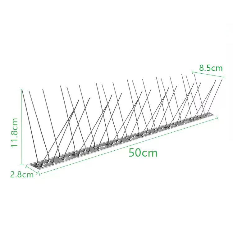 50cm