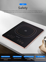 Bonne qualité Basse Tension Mini Ir Maison Utilisé Plaque à Induction Cuisinière à Induction