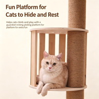 Arbre à chat en bois, tour à chat avec poteaux à gratter en sisal, lit capsule spatiale, hauteur réglable, structure d'escalade multi-niveaux pour chat, carton