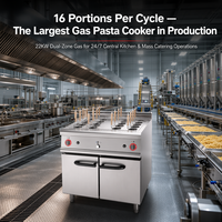 Cuisinière à gaz professionnelle en acier inoxydable avec armoire de rangement, 22 kW, garantie 1 an, pour la restauration commerciale