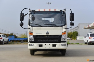 SINOTRUCK HOWO 4*2 Heavy Loading 4T-5T Light <strong>Cargo</strong> <strong>Truck</strong> Small Bulk <strong>Cargo</strong> <strong>Trucks</strong> Sinotruck Howo Light Duty - Product Image 3