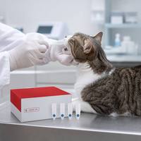 Kit de Detección PCR 4-Plex para Estomatitis Felina, Virus del Herpes Felino FeLV/FIV/FCV/FHV, Solo para Gatos, 4 Pruebas/Kit