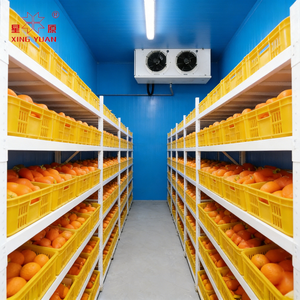 Chambre Froide Professionnelle à Prix Réduit pour <span class=keywords><strong>Boucherie</strong></span> - Promotion Exceptionnelle - Product Image 1