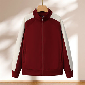 Korean Cotton Color-Blocked Stand-Up Collar Zip-Up Sweatshirt Thickening Polyester Workwear For College Students Custom Logo - Product Image 3