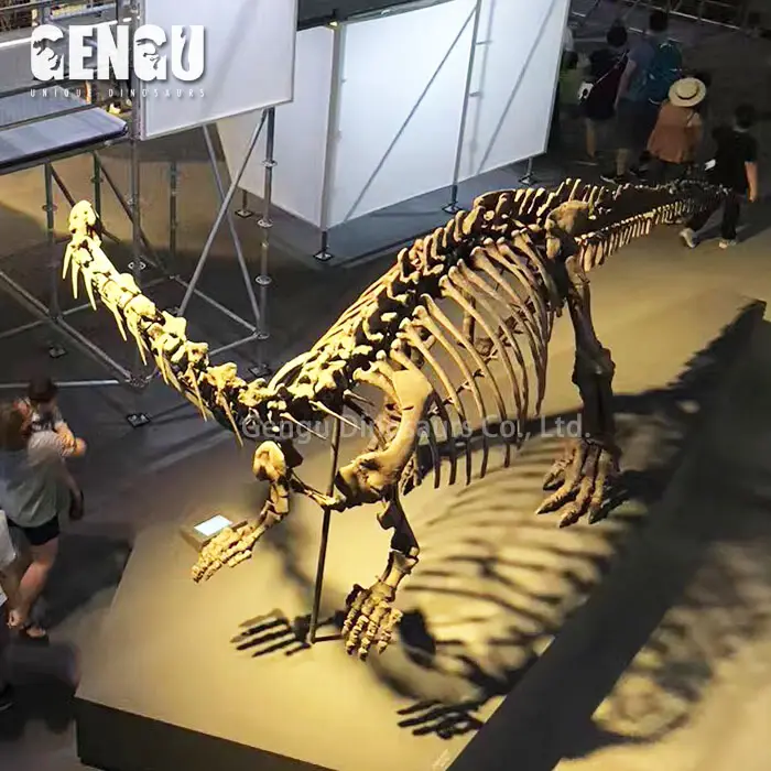 Kerangka Dino Sejarah Alam Museum Dino