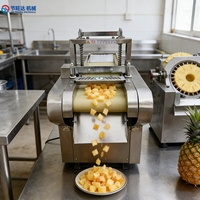 Commerciële groentesnijder, groenteschiller en -snijmachine voor fruitverwerkingsbedrijven